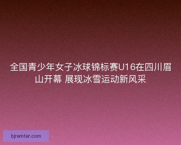 全国青少年女子冰球锦标赛U16在四川眉山开幕 展现冰雪运动新风采