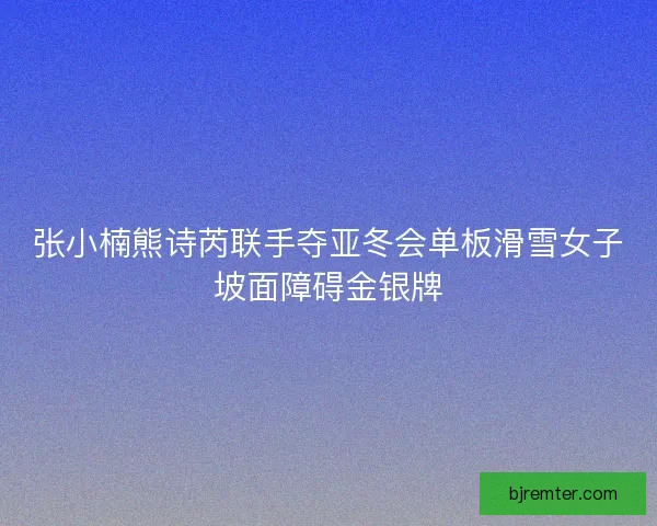张小楠熊诗芮联手夺亚冬会单板滑雪女子坡面障碍金银牌